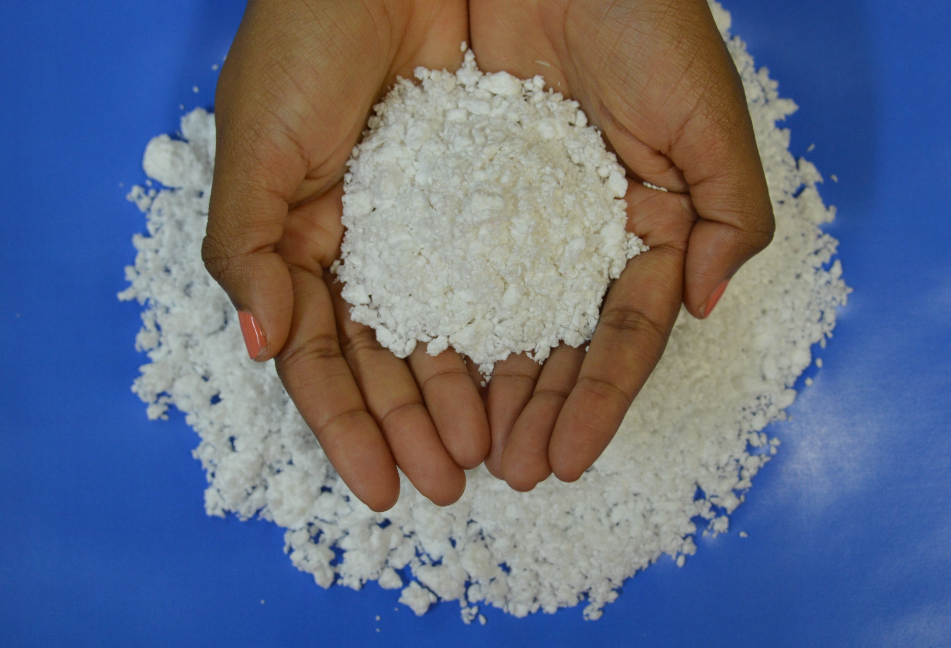 Products - Dissolving Pulp - Specialty Cellulose in Bahia, Bleached ...