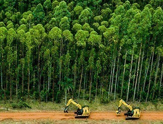 Os interessados devem residir no município ou ter disponibilidade de mudança para Lins. É desejável também que o candidato tenha vivência em atividades rurais ou de campo.