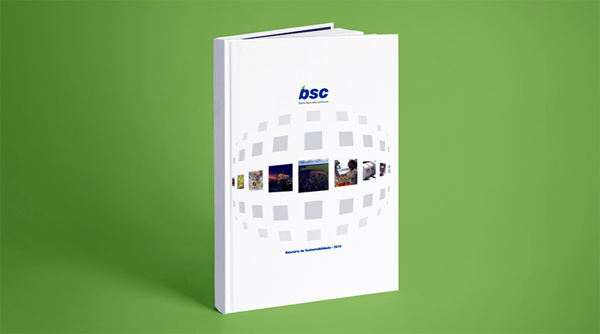Capa Relatório de Sustentabilidade 2010