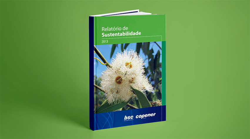 Capa Relatório de Sustentabilidade 2012/2013