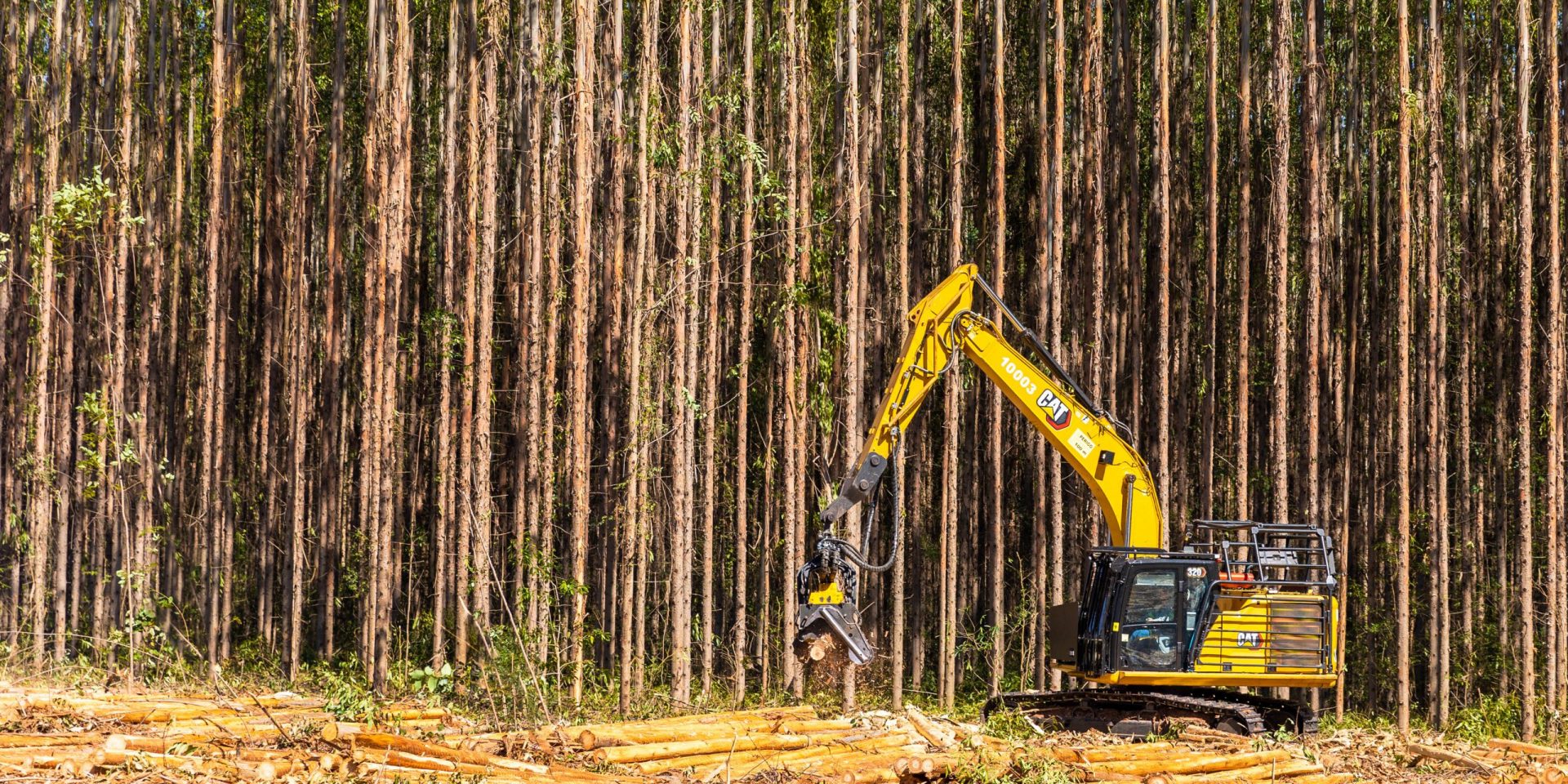 harvester na área florestal