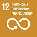 12 - Responsible Consumption and Production