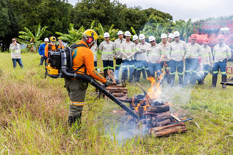 Além de combate a incêndios, o Programa conta também com ações contra vandalismo, caça e pesca ilegal e furto de madeira. / Foto: Acervo Bracell.