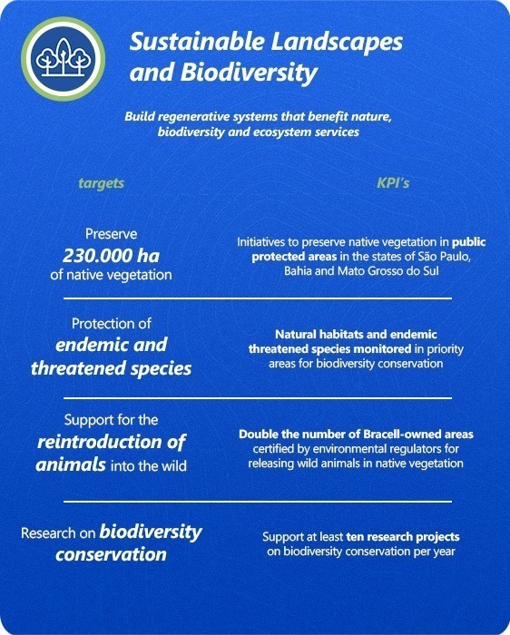 Bracell 2030 - Sustainable Landscapes and Biodiversity