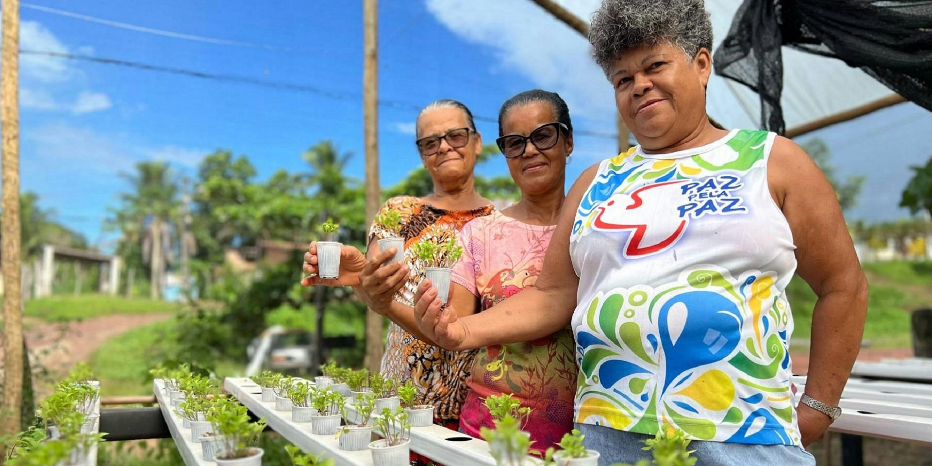 Mulheres produtoras