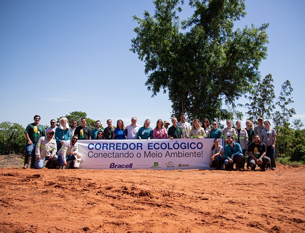 Bracell planta 8 mil árvores nativas e cria corredor ecológico para fortalecer biodiversidade